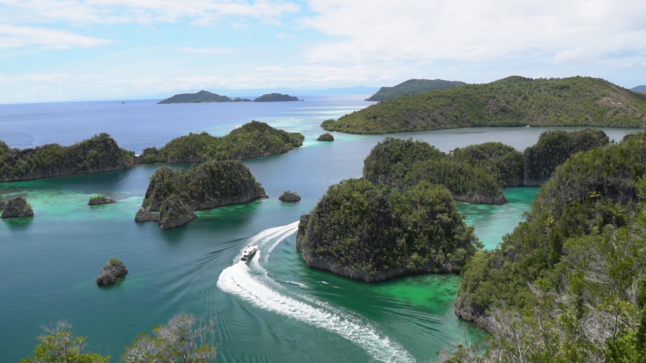 Tersedia! Paket Wisata Raja Ampat 5 Hari 4 Malam