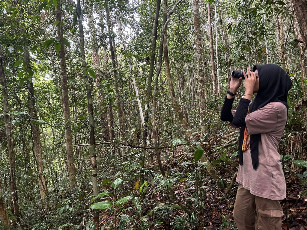 paket wisata burung cenderawasih raja ampat papua