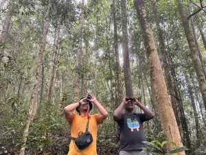 paket wisata burung cenderawasih raja ampat papua