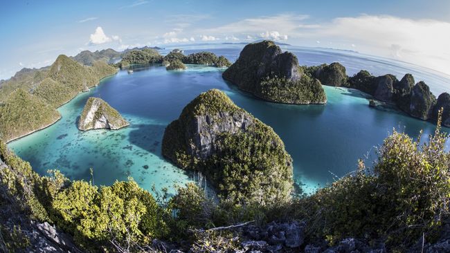 Paket Tour Raja Ampat