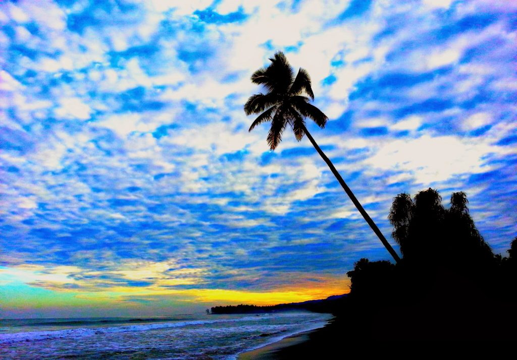 Eksplorasi Alam Tambrauw Menyingkap 5 Fakta Menarik Tentang Keindahan dan Keanekaragaman Hayati