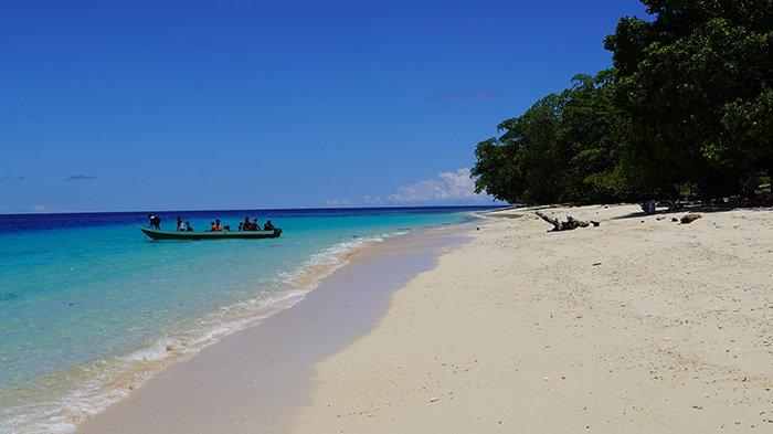 Konservasi Alam Tambrauw Melindungi Habitat Langka dan Spesies Endemik
