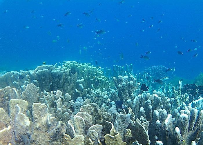 Misteri dan Mitos Keajaiban Alam Tambrauw yang Menjadi Cerita Rakyat Papua Barat