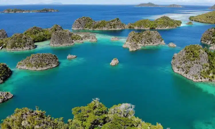Paket Tour Raja Ampat 4 Hari 3 Malam Best Seller