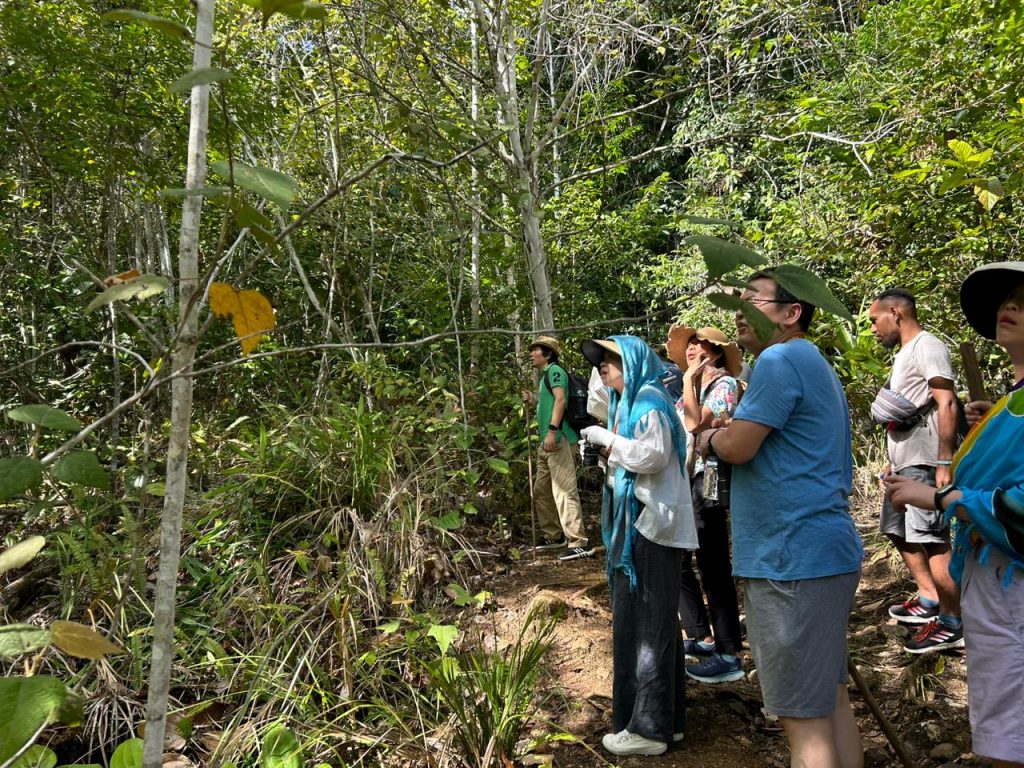 Private Trip Raja Ampat 4 Hari 3 Malam