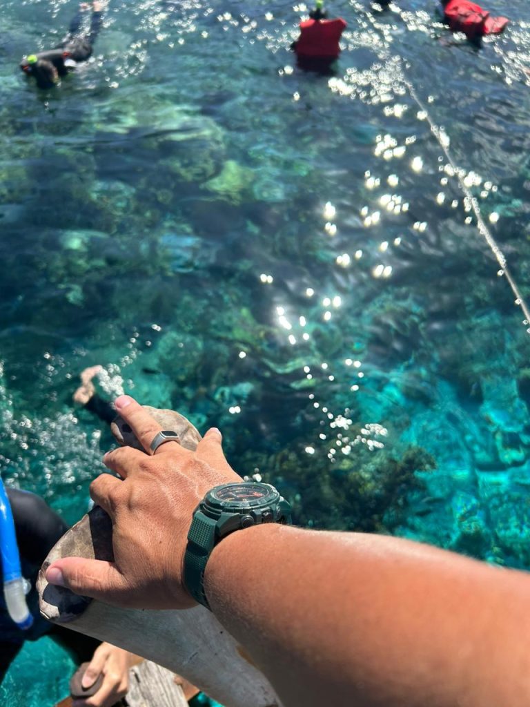 Promo Tour Raja Ampat Papua 4 Hari 3 Malam FASILITAS TERBAIK