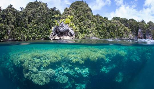 Paket Wisata 3 Hari 2 Malam Raja Ampat Dengan Harga Terjangkau