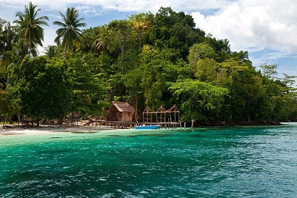 Paket tour 4 Hari 3 Malam Raja Ampat