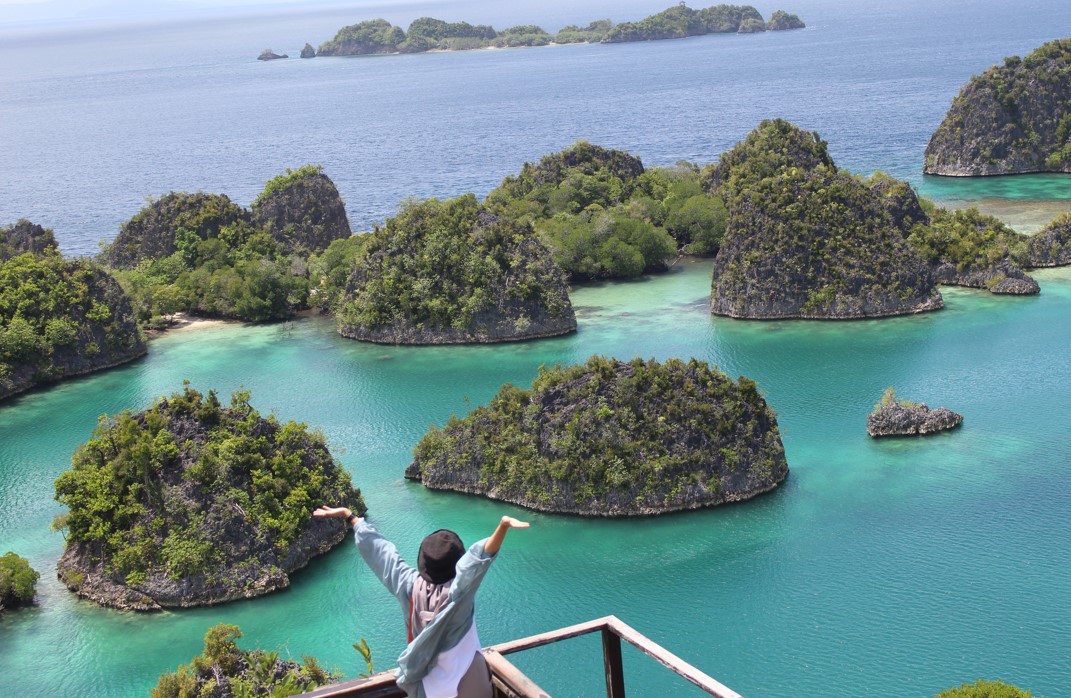 Fakta Menarik Dari Gunung Jayawijaya Papua