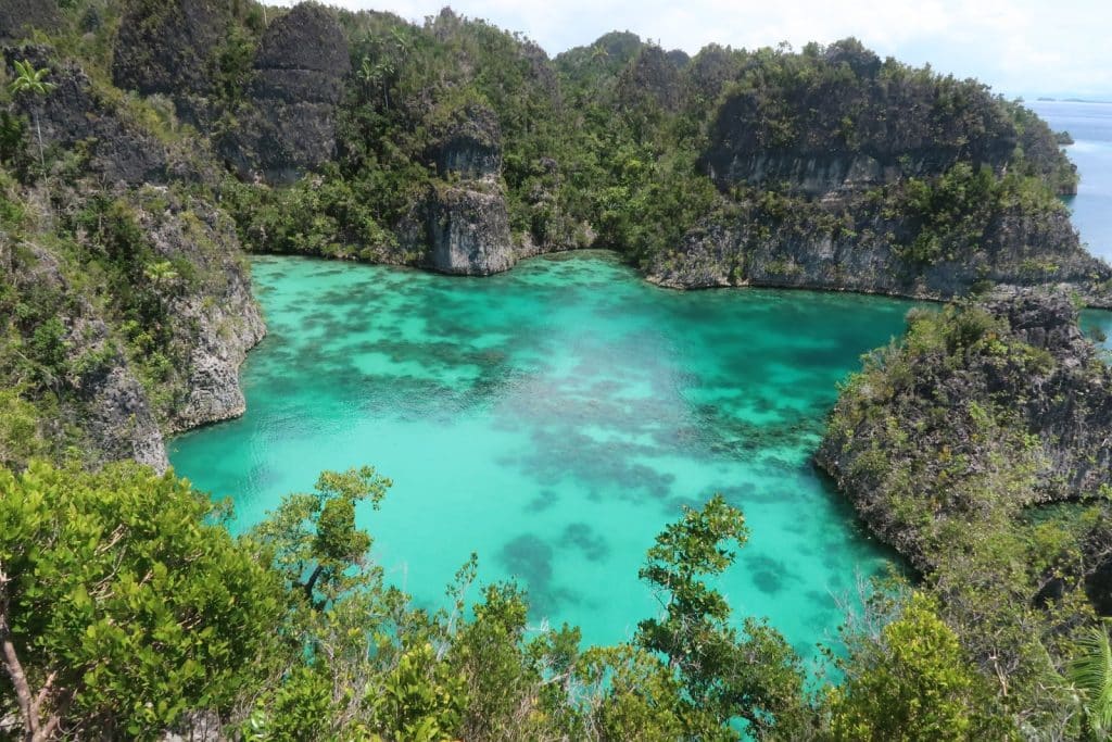 Biaya Tour Ke Raja Ampat 1 Hari