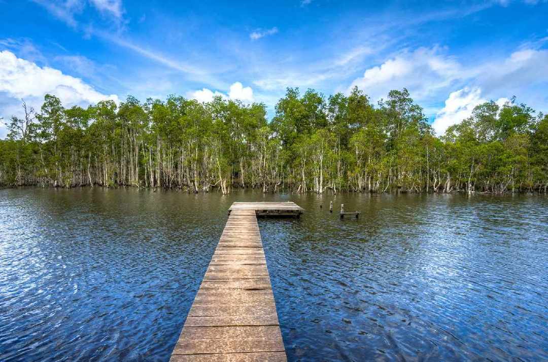 taman nasional wasur
