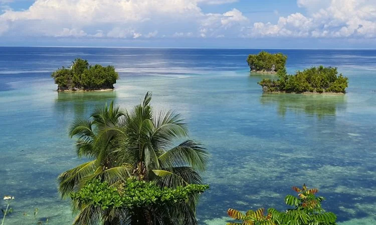 Mengetahui Daya Tarik Biak Papua