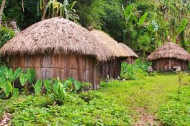Ayo Membahas Tentang Rumah Adat Honai Yang Ada Di Papua