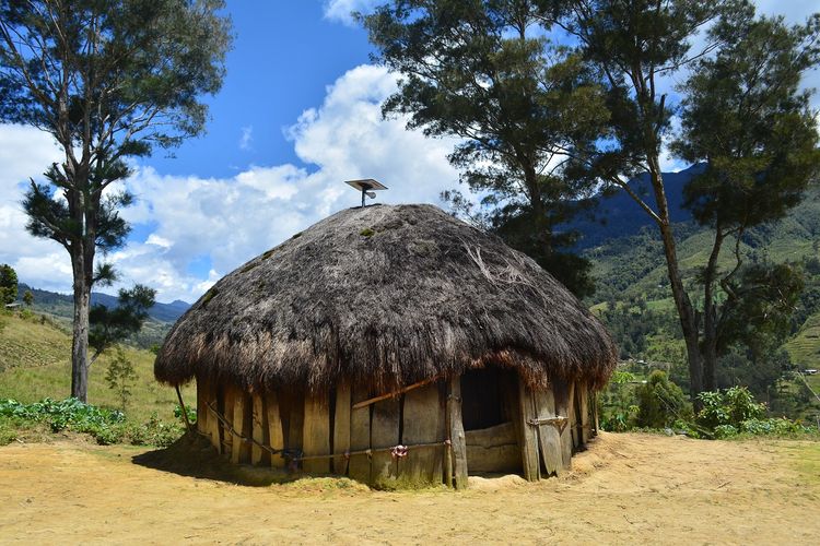 Ayo Membahas Tentang Rumah Adat Honai Yang Ada Di Papua