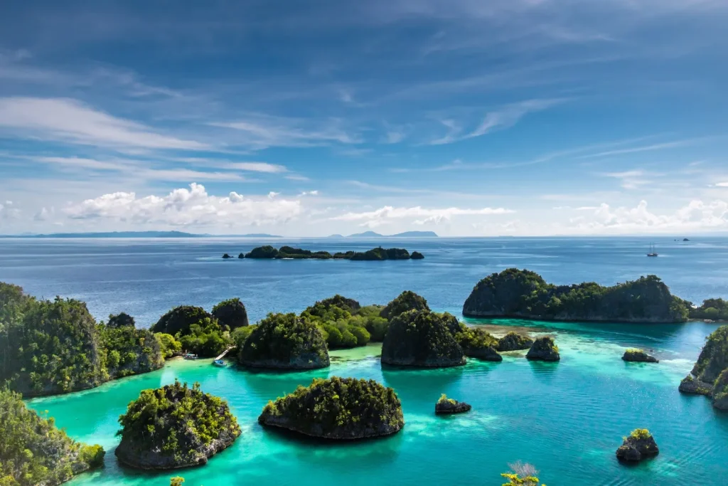 5 Aktivitas Menyenangkan di Raja Ampat dan Spot Terbaiknya