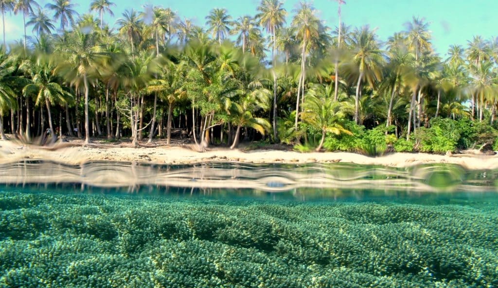 Beberapa Tempat Wisata Yang Terkenal Di Papua