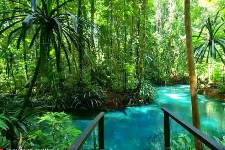 Pemandangan Indah Sungai Kalibiru Raja Ampat