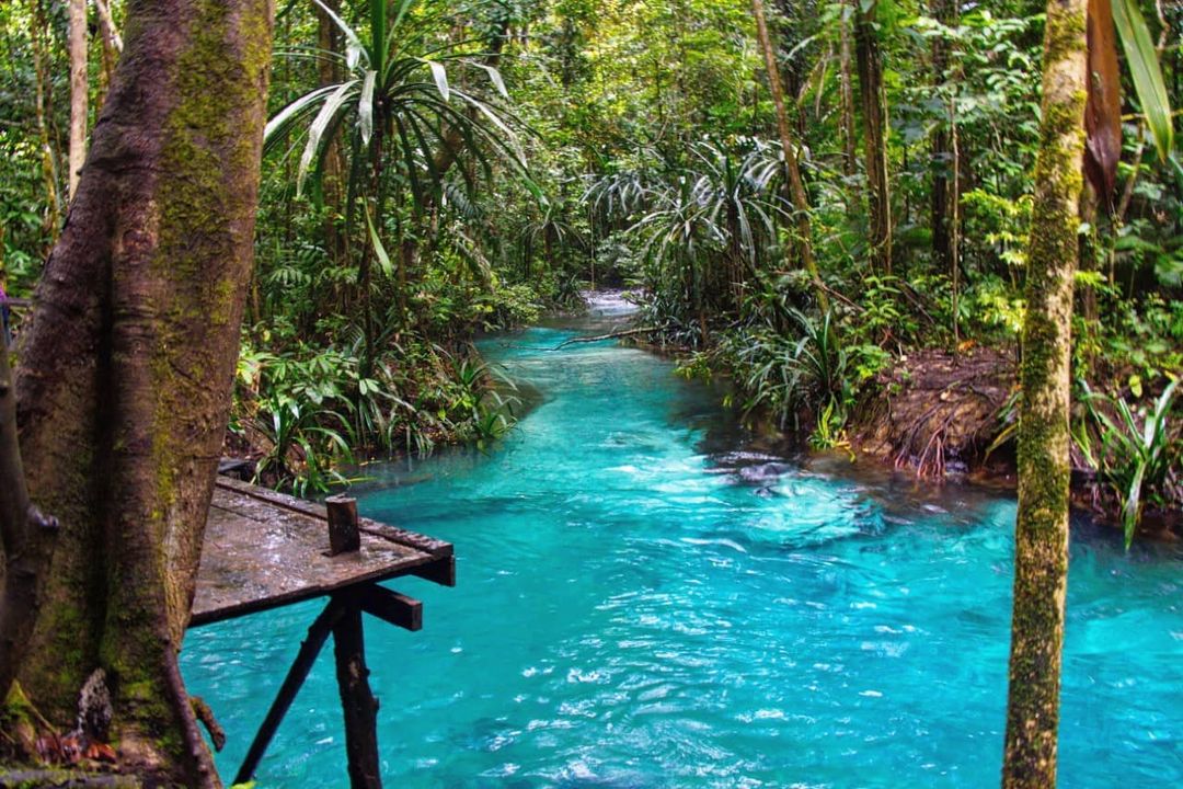 Destinasi Tempat Wisata Alam Yang Begitu Populer Di Papua