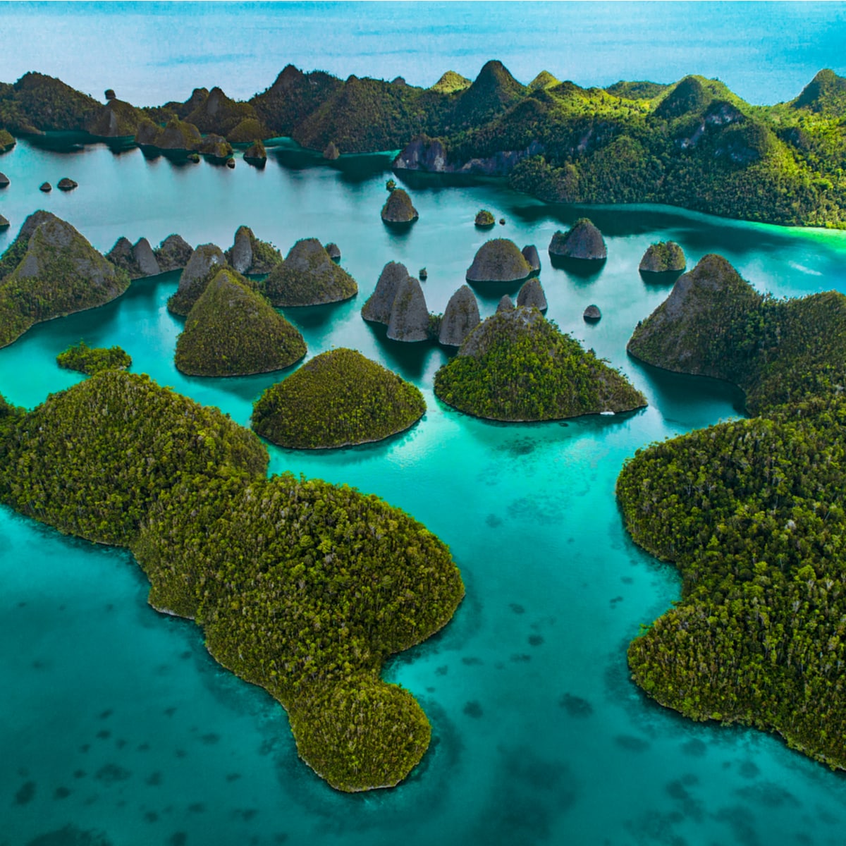 Rekomendasi Destinasi Menawan Yang Ada Di Raja Ampat Papua