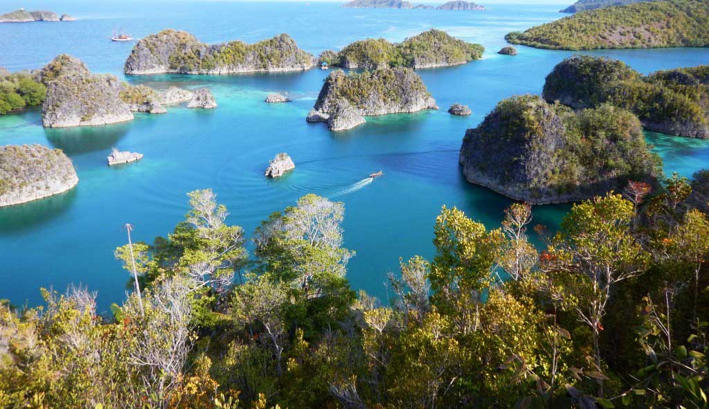 Menjelajahi Keindahan Bukit Piaynemo Di Raja Ampat