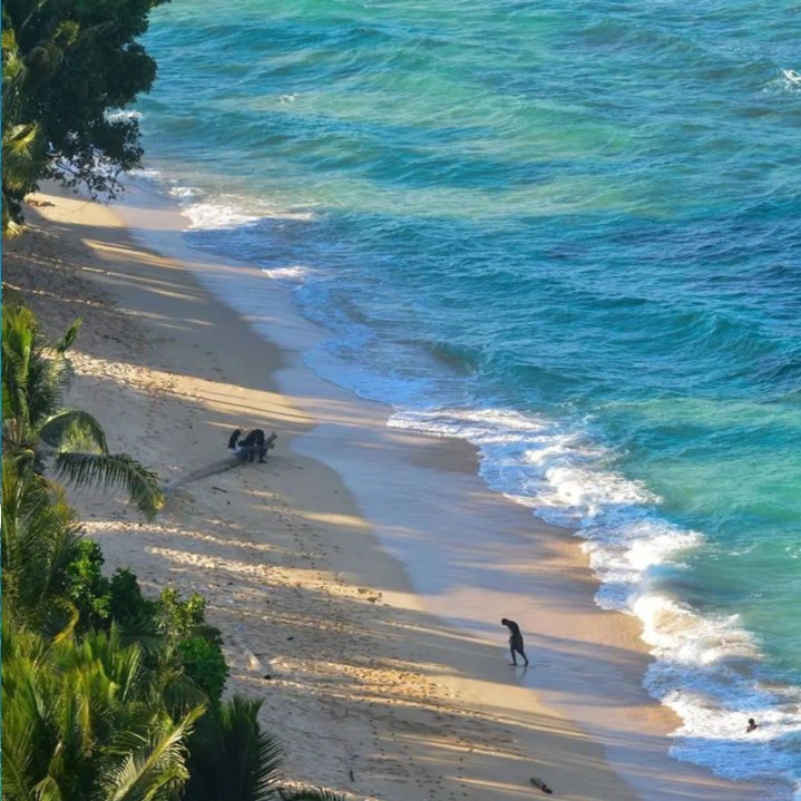 Lebih Mengenal Dalam Tentang Tempat Wisata Di Papua
