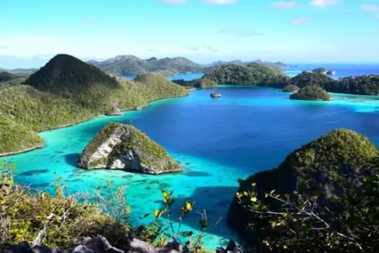 Keindahan Alam Taman Nasional Teluk Cendrawasih Di Papua