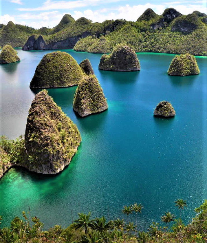 Daya Tarik Wisata Papua Barat Daya Raja Ampat, Apa Saja Istimewanya