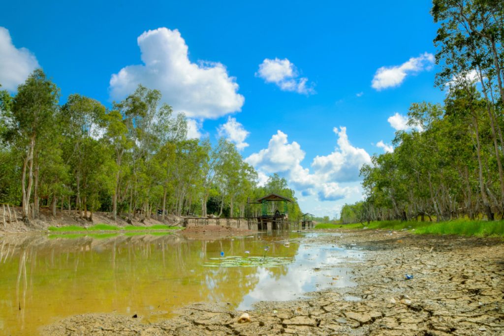 Penghasil Kekayaan Alam Dan Tempat Wisata Terindah Di Papua