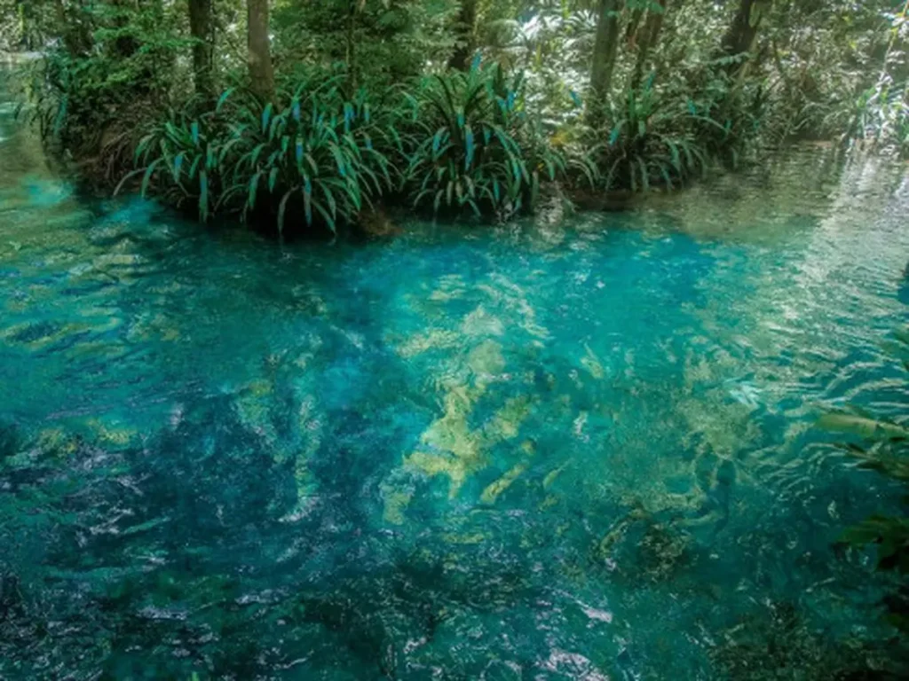 Menjelajahi Keindahan Kalibiru Raja Ampat