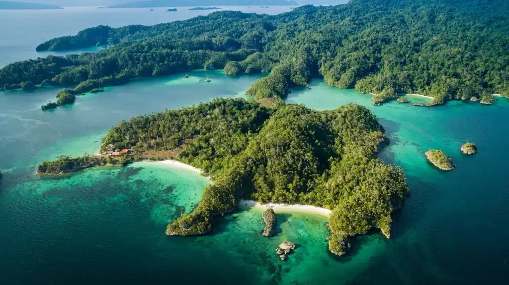 Tips dan Trik untuk Berkunjung ke Kaimana - Persiapan dan Pengalaman Terbaik