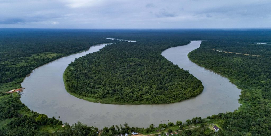 Keanekaragaman Hayati Hutan Papua