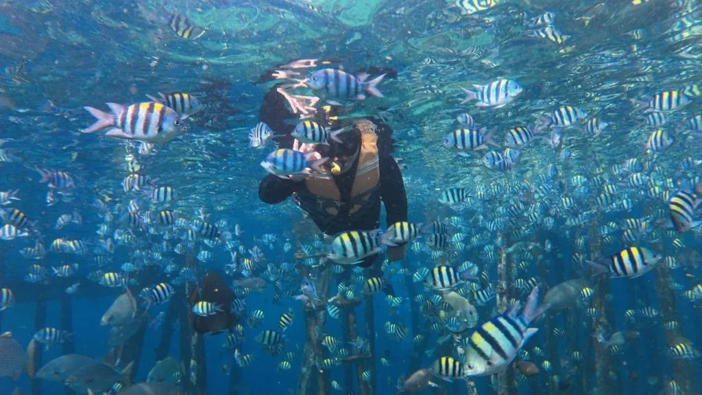 Paket Tour Raja Ampat April 3 Hari 2 Malam