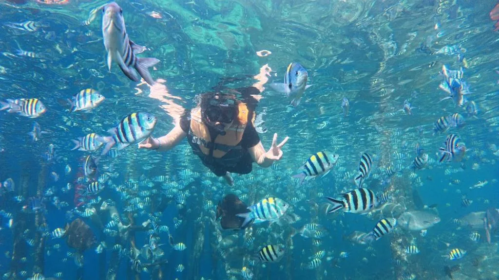 Paket Tour Raja Ampat 2 Hari 1 Malam Termurah