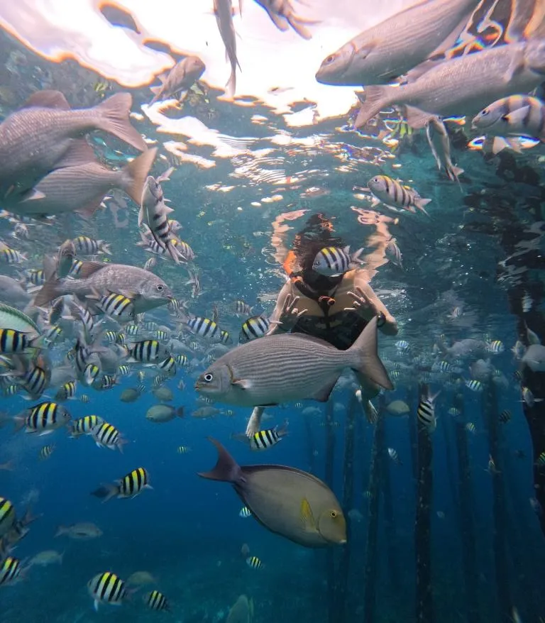 Paket Tour Raja Ampat 7 Hari 6 Malam Liburan Hemat