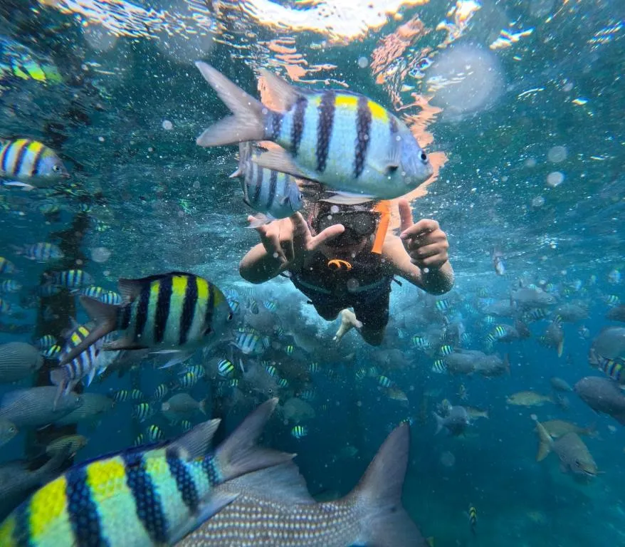 Paket Wisata Raja Ampat 1 Hari Tour