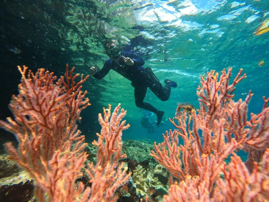 Paket Wisata Raja Ampat 5 Hari 4 Malam Diving Terbaik