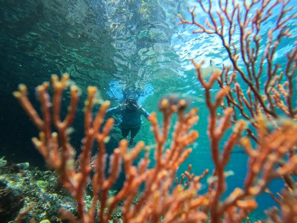 Paket Wisata Raja Ampat 6 Hari 5 Malam Hemat