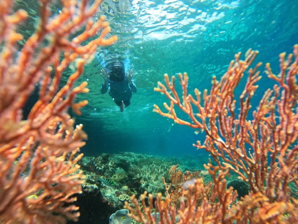 Paket Tour Raja Ampat 2 Hari 1 Malam Group