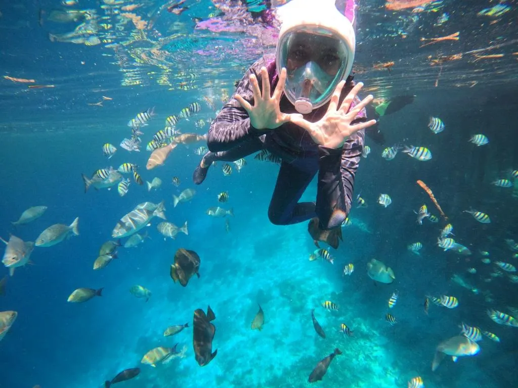 Paket Wisata Raja Ampat 1 Hari Liveaboard