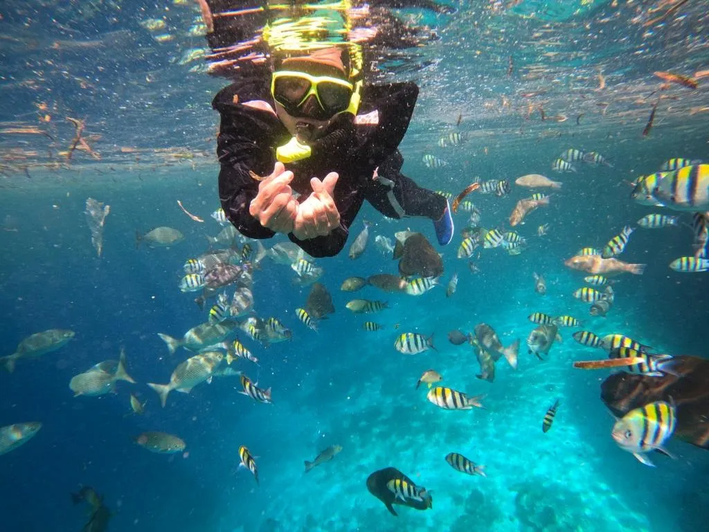 Paket Wisata Raja Ampat 6 Hari 5 Malam Tour Hemat