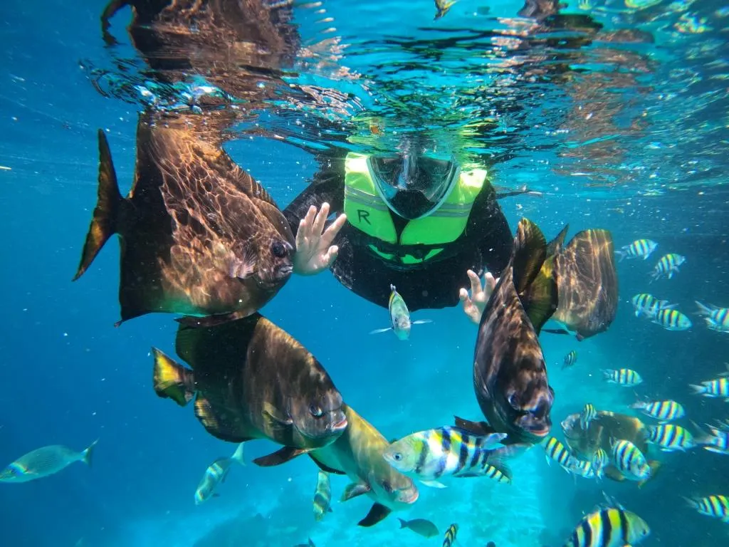 Paket Tour Raja Ampat 4 Hari 3 Malam Group