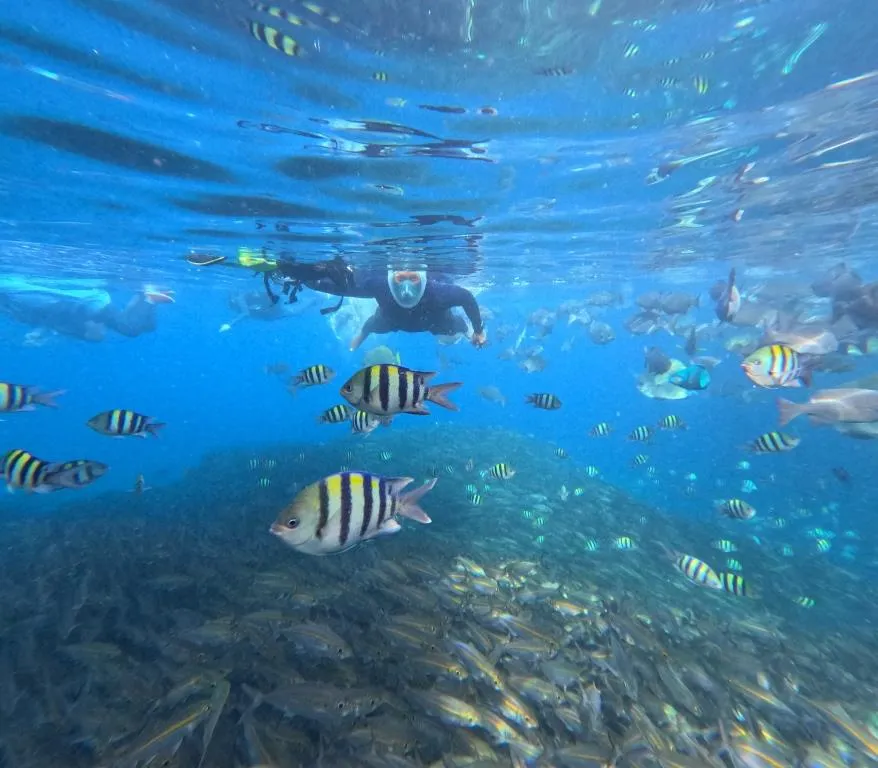 Paket Tour Raja Ampat 4 Hari 3 Malam Tour