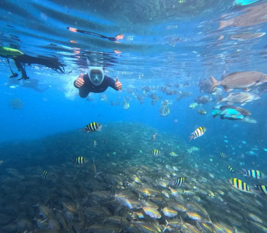 Paket wisata Raja Ampat 3 hari 2 malam diving. Rasakan keajaiban bawah laut di Piaynemo, Wayag, dan Manta Point. Keajaiban terumbu karang yang memesona.