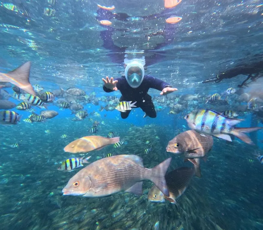 Paket Wisata Raja Ampat 5 Hari 4 Malam Liveaboard