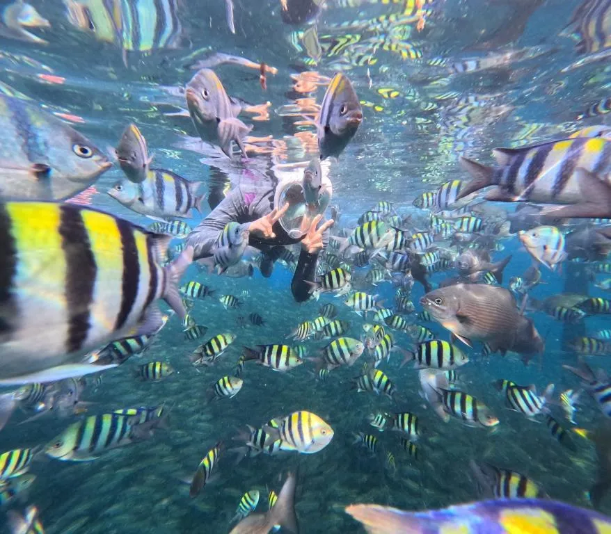 Paket Tour Raja Ampat 6 Hari 5 Malam Tour