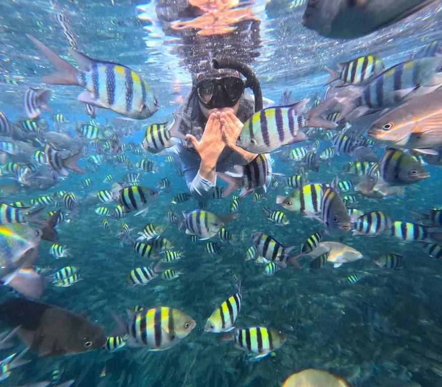 Paket Wisata Raja Ampat 6 Hari 5 Malam Snorkeling