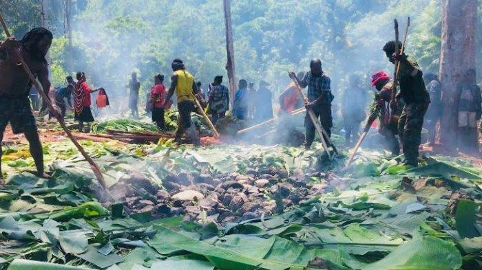 Kuliner Papua Mengolah Ikan Batu Bakar